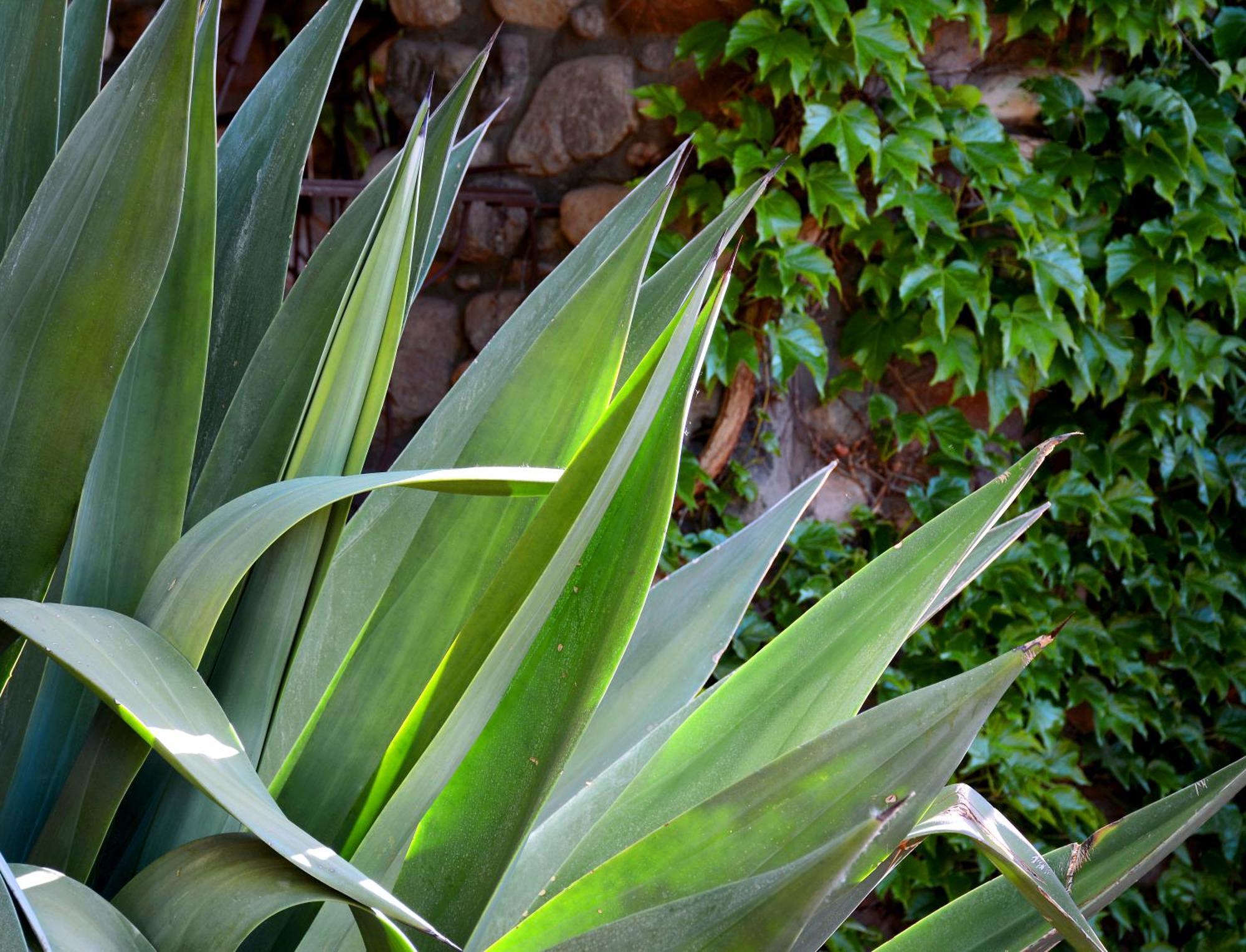 El Portal Sedona Hotel Kültér fotó