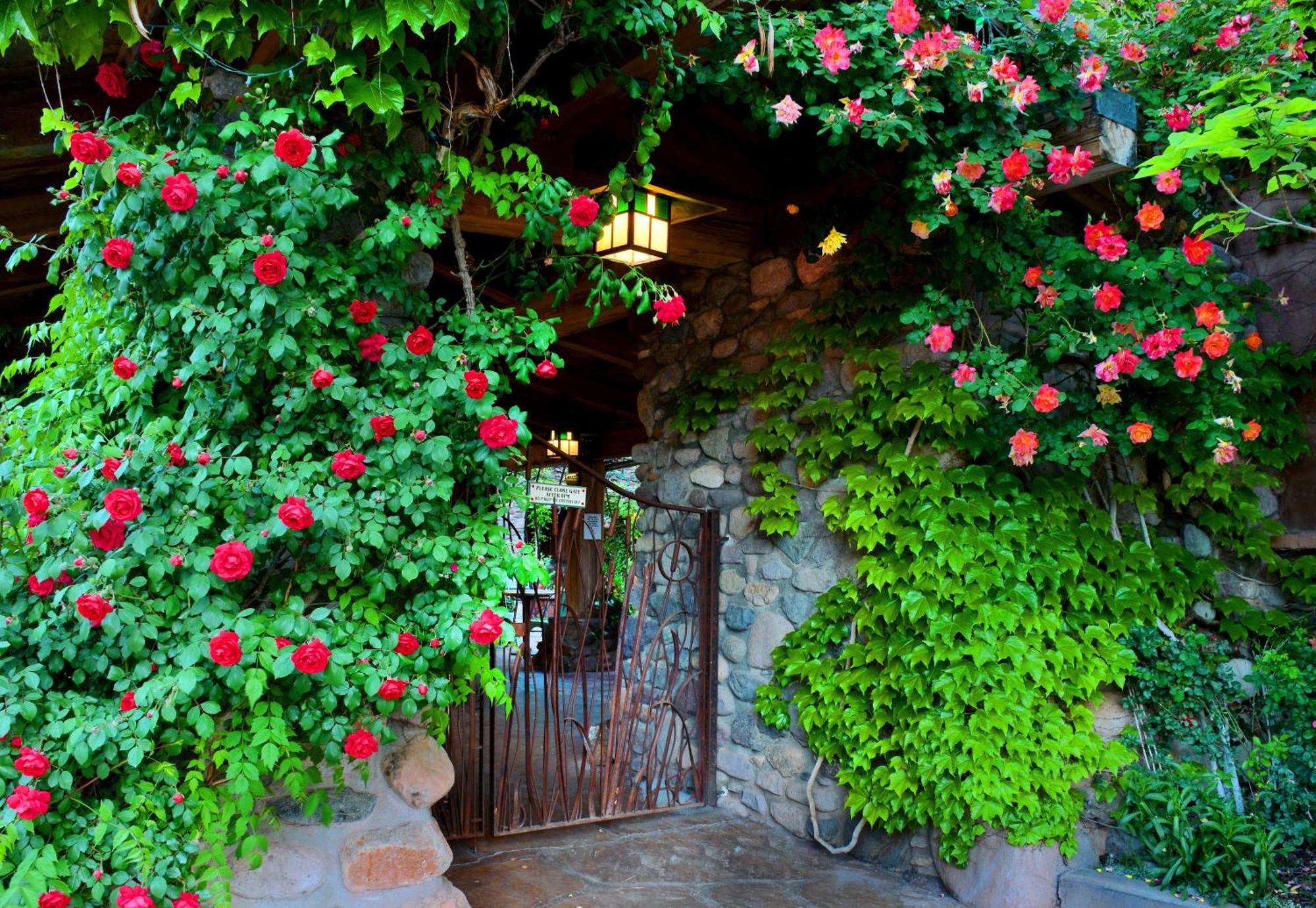 El Portal Sedona Hotel Kültér fotó